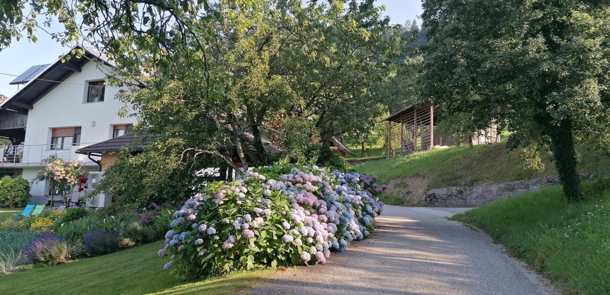 Apartma Na Ravnicah Cerkno Exterior foto
